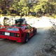 Illustration for article titled Ferrari F-40. Will It Wilderness?